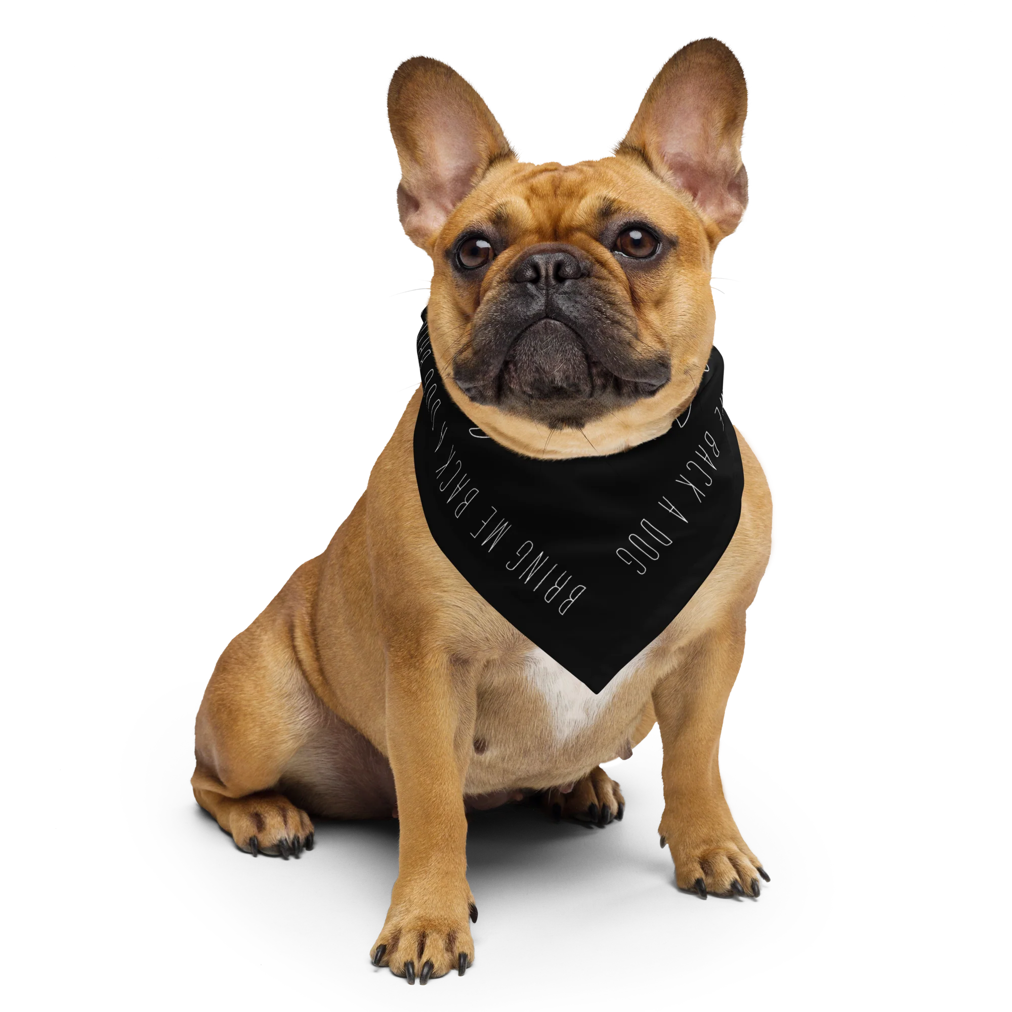Bandana - Bring Me Back A Dog - Image 4
