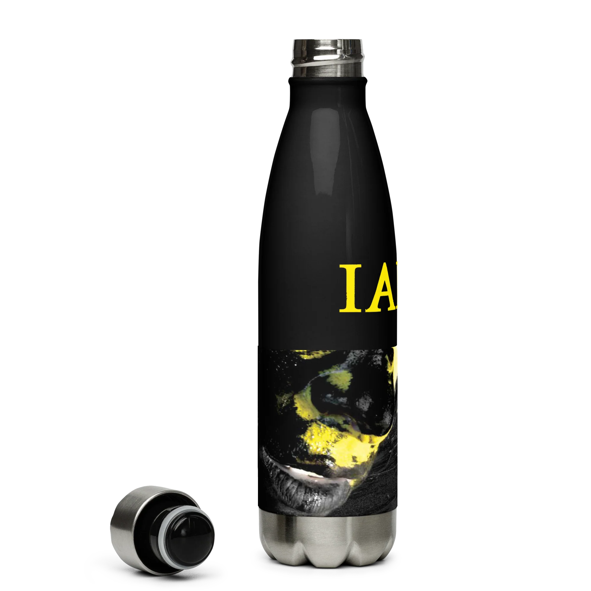 Insulated Stainless Steel Bottle - The Alternative - Image 11