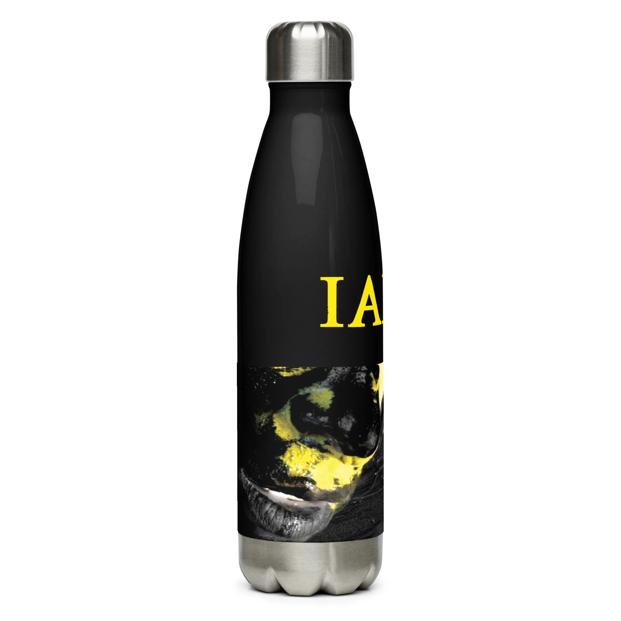 Insulated Stainless Steel Bottle - The Alternative - Image 3